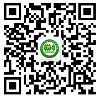 金霞集團(tuán)
